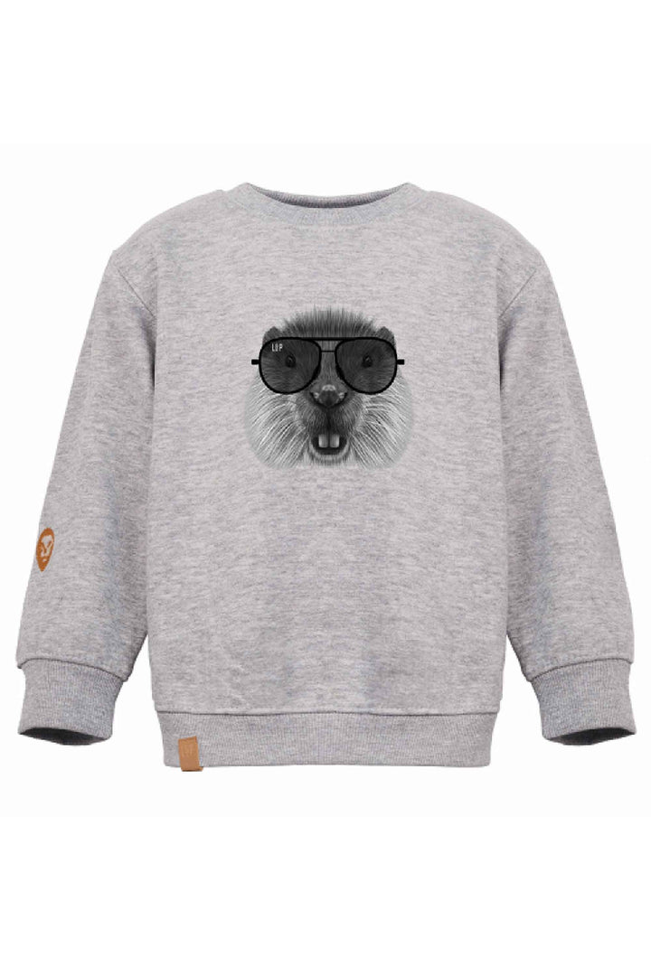 Chandail crewneck ample molletonné à col rond [Animals family] [Enfant]