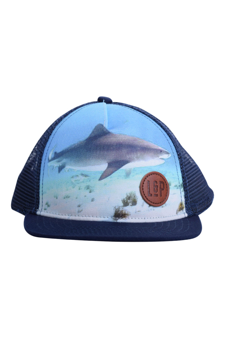 Shark Series Mesh Cap - Fit Simplistic