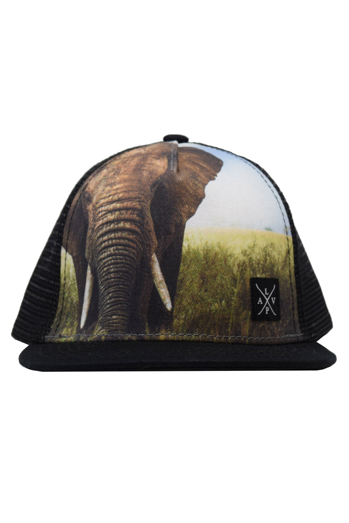 Zoo series mesh cap - Fit Simplistic [Kids]